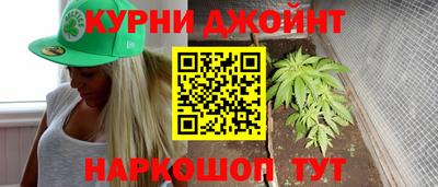 шишки Будённовск