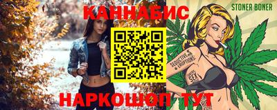 шишки Будённовск