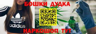 шишки Будённовск