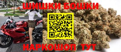 шишки Будённовск