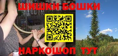 шишки Будённовск