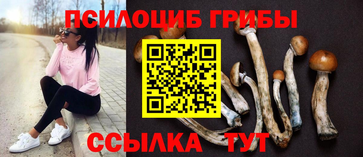 Урай  Галлюциногенные грибы MAGIC MUSHROOMS  Вход с VPN 
